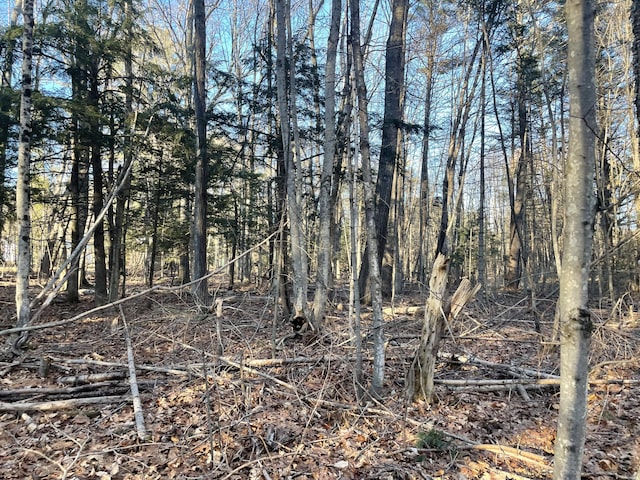 0 Cross St, Manchester, ME 04351 - photo 38