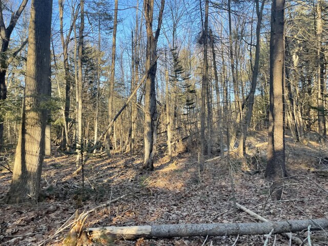 0 Cross St, Manchester, ME 04351 - photo 39