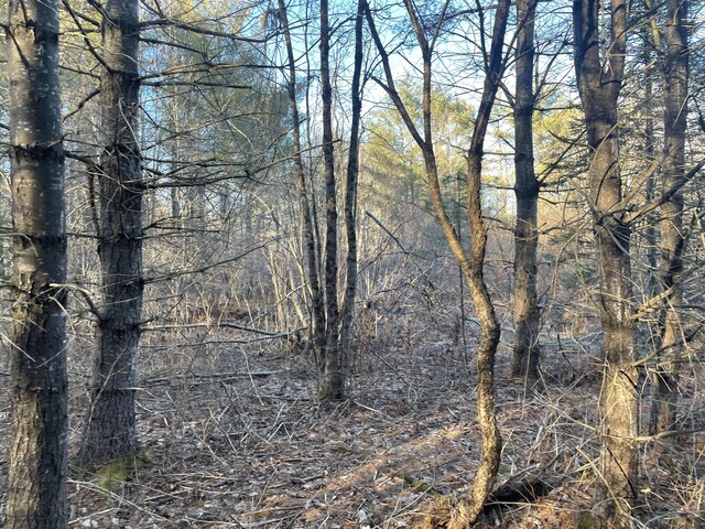 0 Cross St, Manchester, ME 04351 - photo 46
