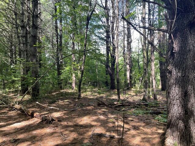 0 Cross St, Manchester, ME 04351 - photo 50