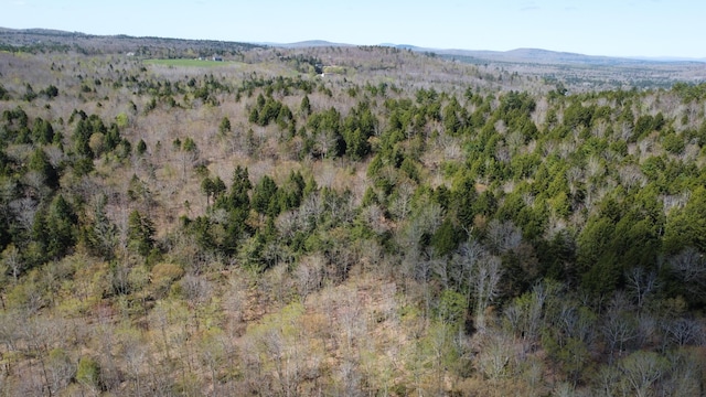 LOT4 Peakes Hill Rd, Dedham, ME 04429