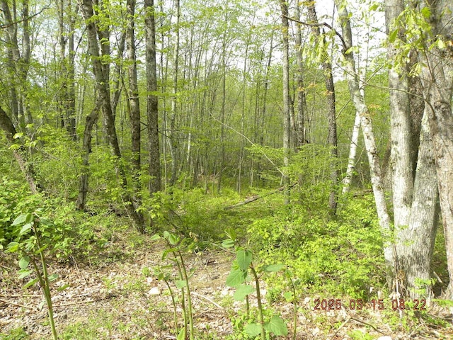 LOT35 Bennett Rd, Alfred, ME 04002