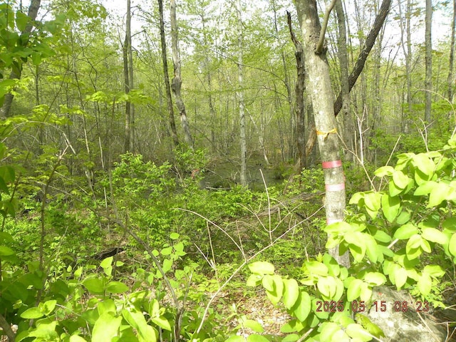 LOT35 Bennett Rd, Alfred, ME 04002