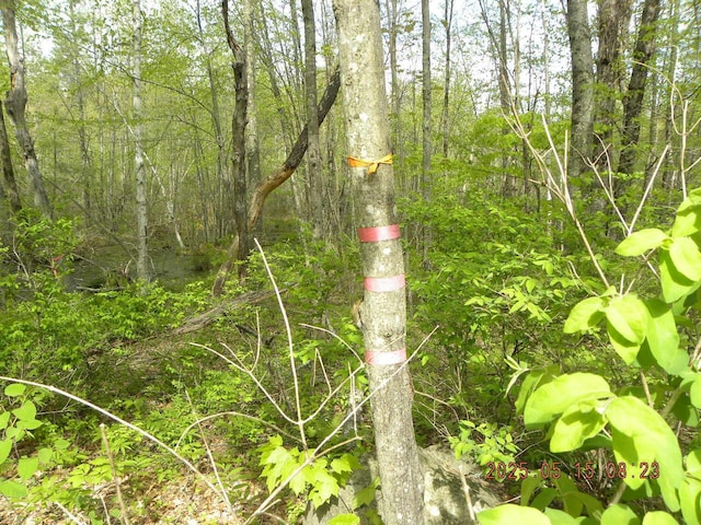 LOT35 Bennett Rd, Alfred, ME 04002