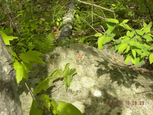 LOT35 Bennett Rd, Alfred, ME 04002