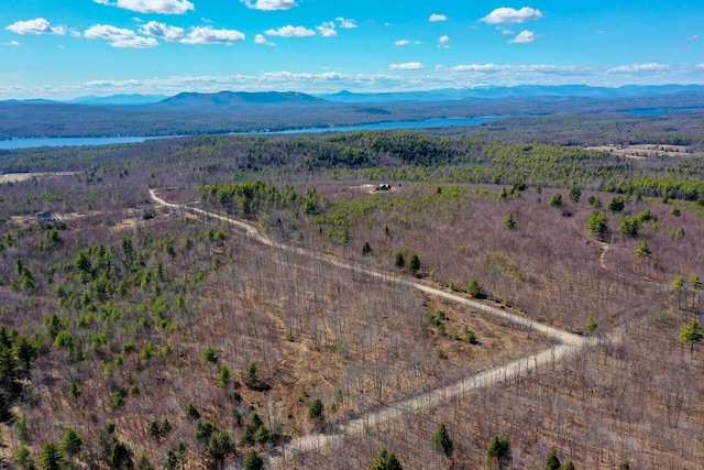 LOT10 Vista Way, Naples, ME 04055