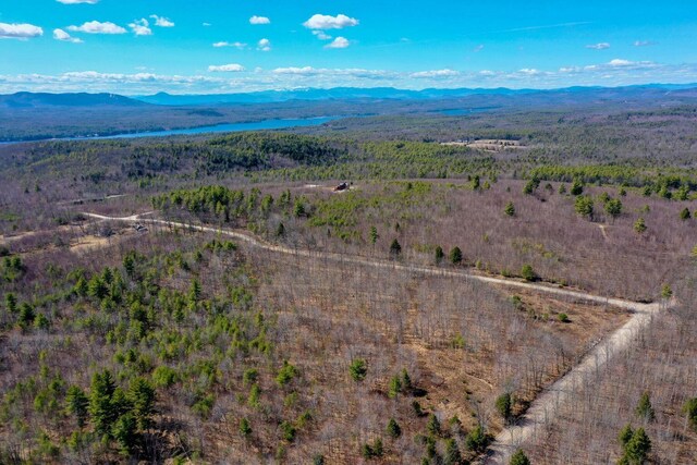 LOT10 Vista Way, Naples, ME 04055
