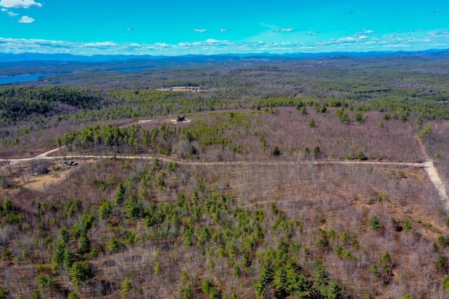 LOT10 Vista Way, Naples, ME 04055