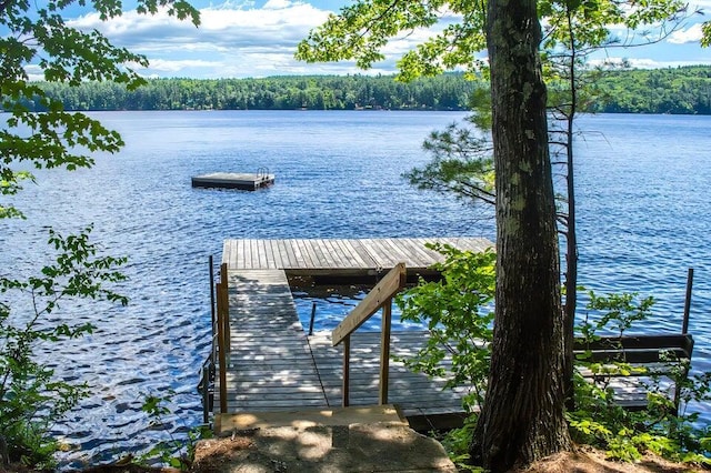 10 E Pinnacle Rd Unit 10, Bridgton, ME 04009 - dock featuring a water view and a view of trees