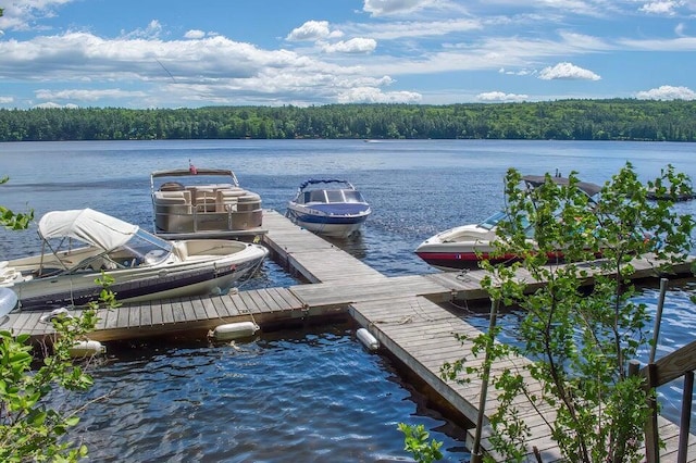 10 E Pinnacle Rd Unit 10, Bridgton, ME 04009 - dock featuring a water view and a wooded view
