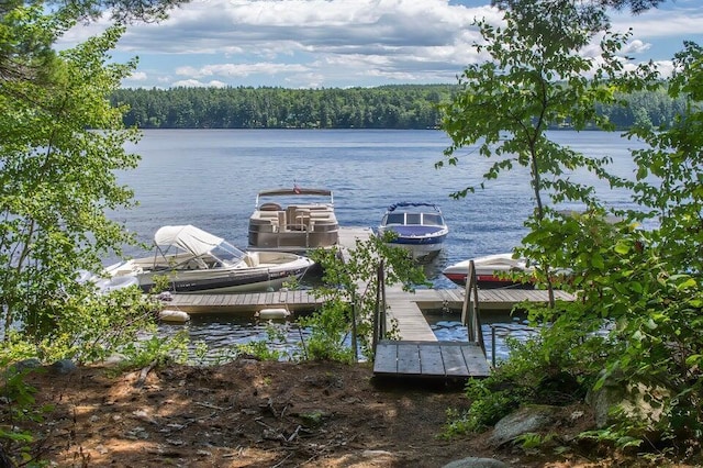 10 E Pinnacle Rd Unit 10, Bridgton, ME 04009 - dock area featuring a water view and a view of trees