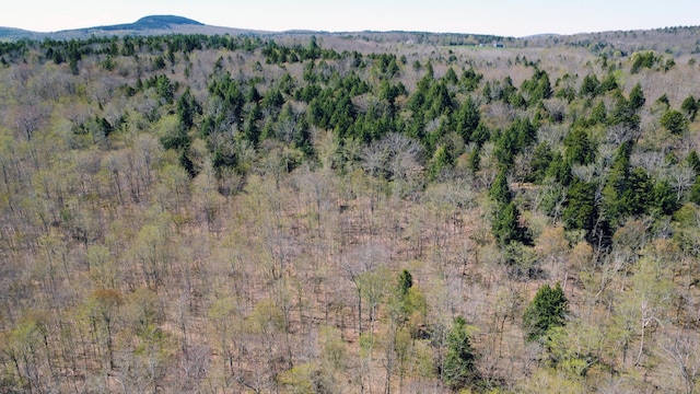 LOT5 Peakes Hill Rd, Dedham, ME 04429