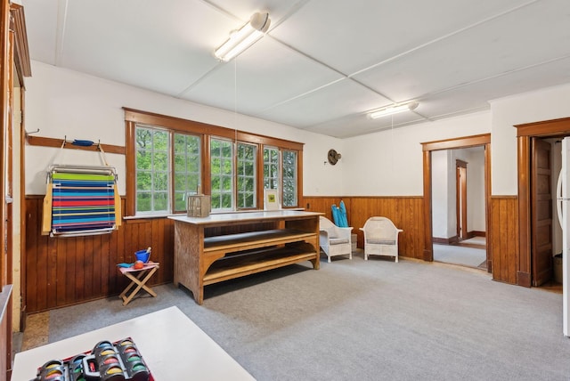 14 Oak St, Kennebunk, ME 04043 - sitting room featuring wainscoting, wooden walls, and carpet floors