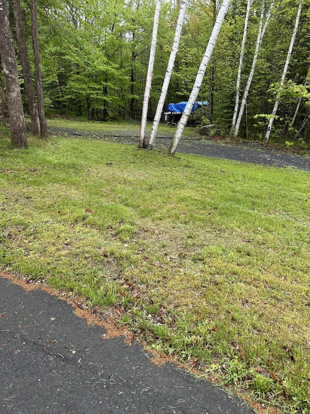11 Cherry Dr, Embden, ME 04958 - view of grassy yard