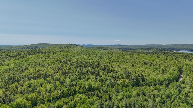 M6, L3 Beech Hill Pond Rd, Dedham, ME 04429