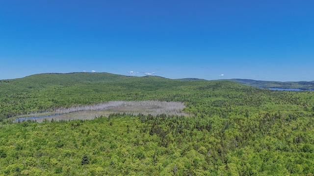 M6, L3 Beech Hill Pond Rd, Dedham, ME 04429
