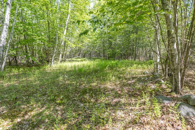 M6, L3 Beech Hill Pond Rd, Dedham, ME 04429