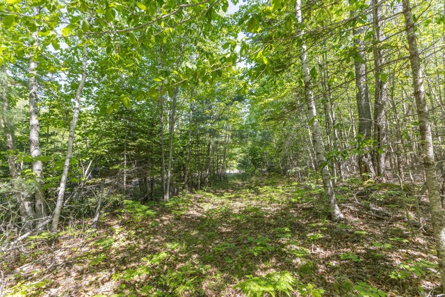 M6, L3 Beech Hill Pond Rd, Dedham, ME 04429