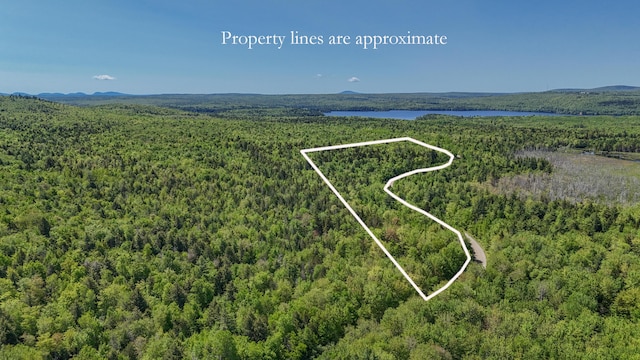 M6, L3 Beech Hill Pond Rd, Dedham, ME 04429