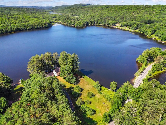 112 Buker Rd, Litchfield, ME 04350 - aerial view of a forest and a large body of water