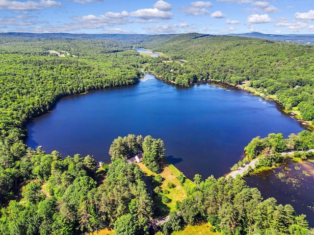 112 Buker Rd, Litchfield, ME 04350 - drone / aerial view of a heavily wooded area and a nearby body of water