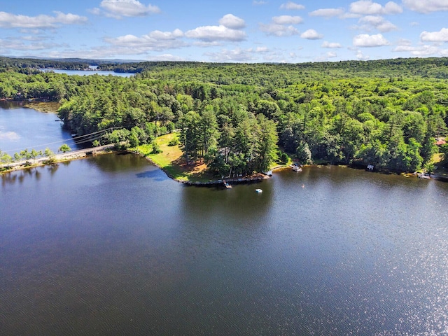 112 Buker Rd, Litchfield, ME 04350 - drone / aerial view of a heavily wooded area and a large body of water