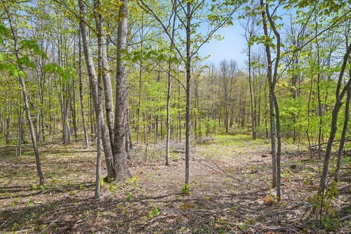 LOT46C Post Rd, Bowdoinham, ME 04008