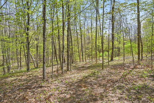 LOT46C Post Rd, Bowdoinham, ME 04008