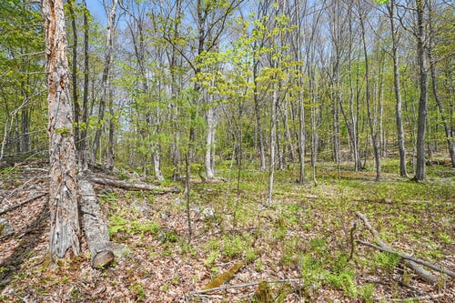LOT46C Post Rd, Bowdoinham, ME 04008