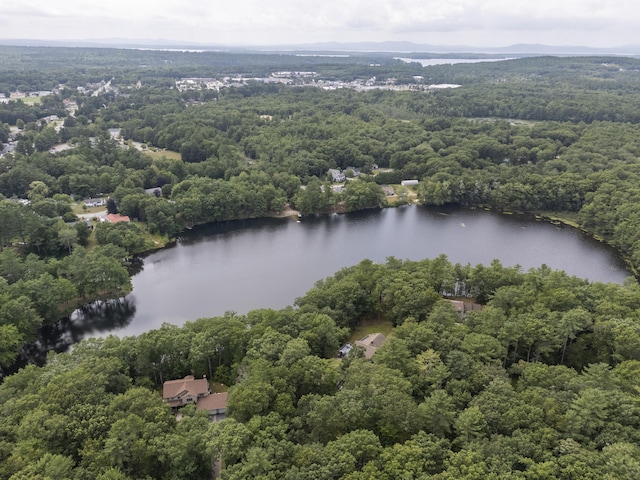 16 Gin Mill Ln, Windham, ME 04062 - photo 58