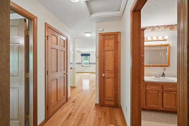 15 Northwood Ct, Wiscasset, ME 04578 - corridor with a sink, light wood-style flooring, attic access, baseboards, and a textured ceiling
