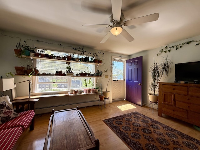 living room featuring ceiling fan, wood finished floors, and a baseboard radiator