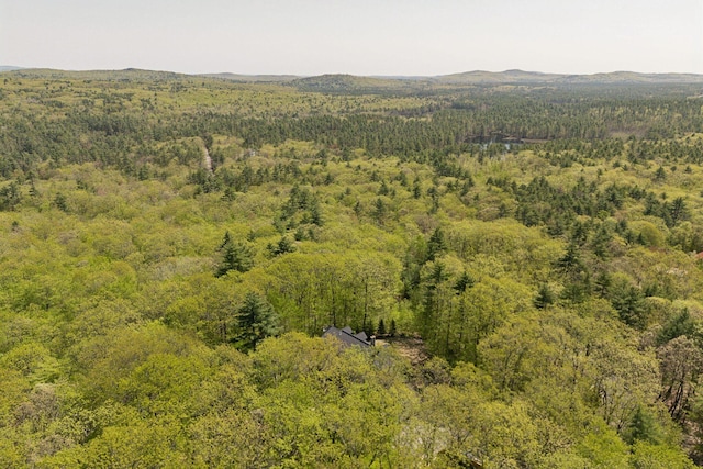 76 Asbury Ln, Acton, ME 04001 - bird's eye view of a heavily wooded area