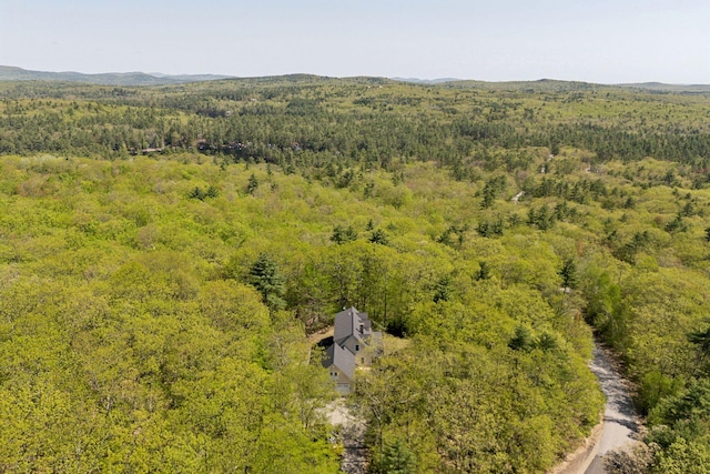 76 Asbury Ln, Acton, ME 04001 - drone / aerial view of a heavily wooded area