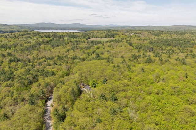 76 Asbury Ln, Acton, ME 04001 - bird's eye view of a forest and a water and mountain view