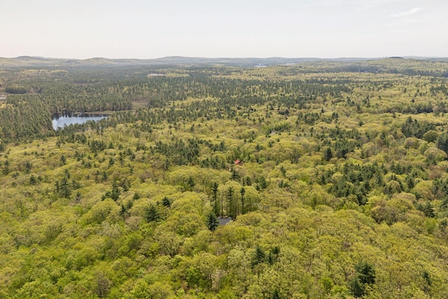76 Asbury Ln, Acton, ME 04001 - view of property location with a heavily wooded area and a large body of water
