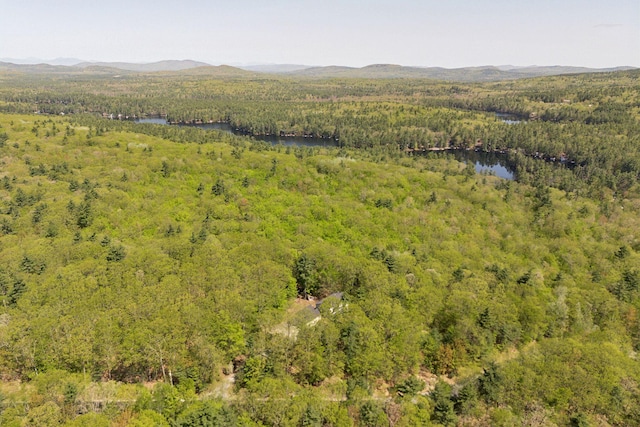 76 Asbury Ln, Acton, ME 04001 - aerial view of a forest and a water and mountain view