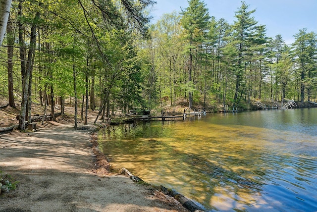 76 Asbury Ln, Acton, ME 04001 - water view