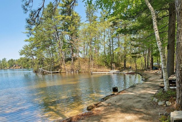 76 Asbury Ln, Acton, ME 04001 - water view with a heavily wooded area