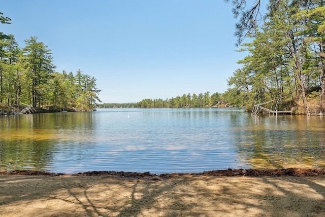 76 Asbury Ln, Acton, ME 04001 - water view with a forest