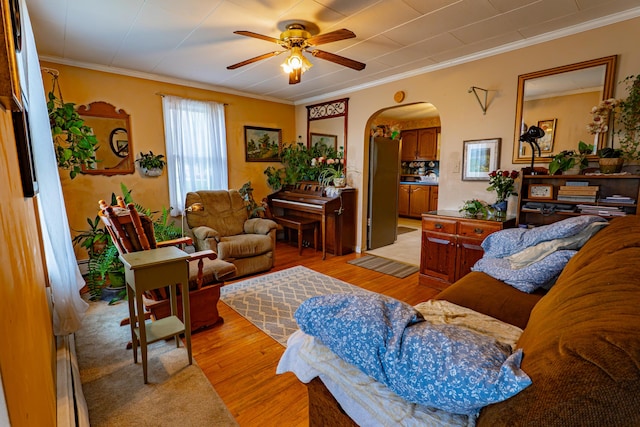 40 Merrow Rd, Auburn, ME 04210 - living area featuring arched walkways, light wood-style flooring, ornamental molding, and a ceiling fan