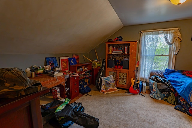40 Merrow Rd, Auburn, ME 04210 - additional living space with lofted ceiling and carpet