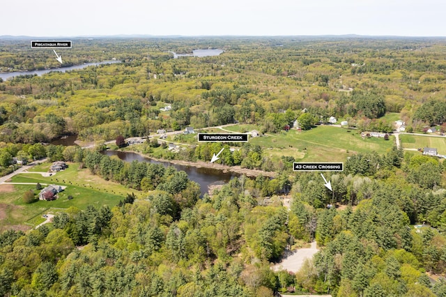 43 Creek Xing, Eliot, ME 03903 - aerial view of property and surrounding area featuring a heavily wooded area and a large body of water