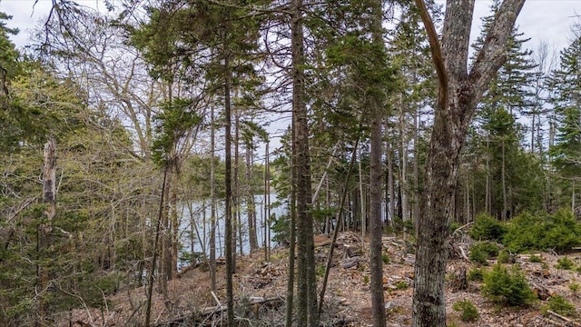 MAP22 B Big Tree Ln, Islesboro, ME 04848