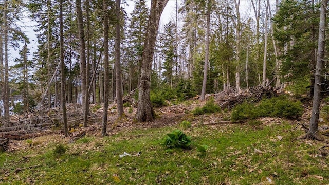 MAP22 B Big Tree Ln, Islesboro, ME 04848