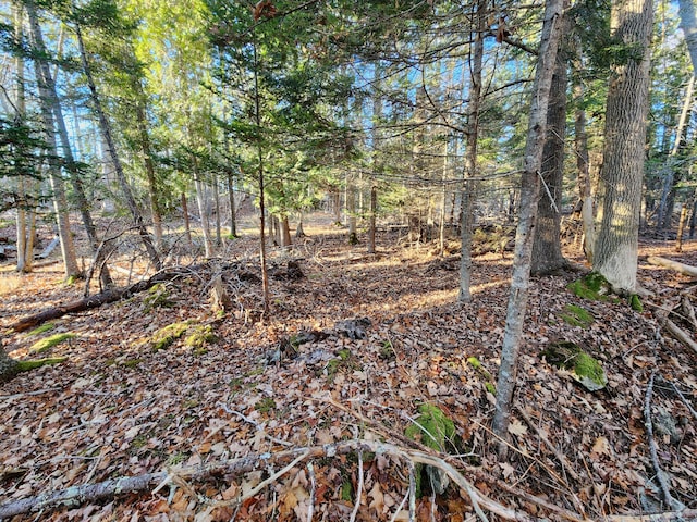 MAP22 B Big Tree Ln, Islesboro, ME 04848