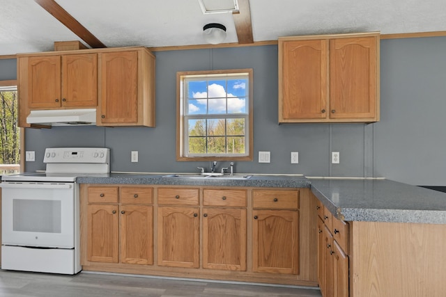 54 Whitten Rd, Clinton, ME 04927 - kitchen featuring white electric range oven, under cabinet range hood, light wood-style flooring, and a peninsula