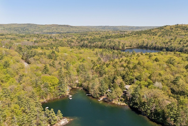 27 Coffee Pond Rd, Casco, ME 04015 - aerial view of a forest and a large body of water