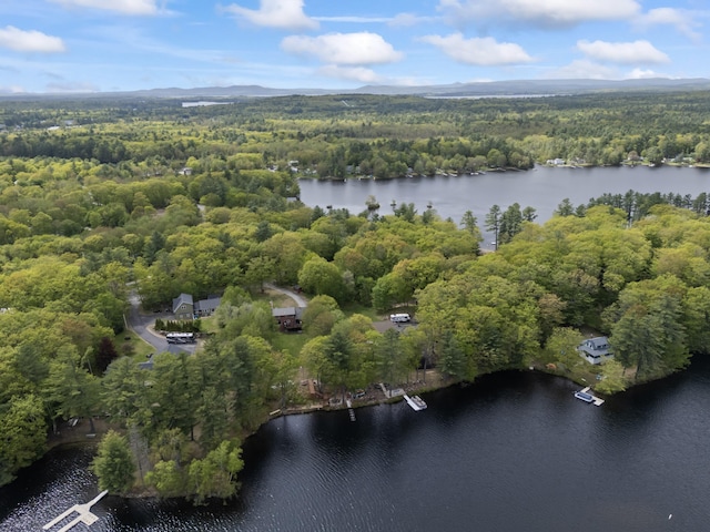 7 Passby Point Rd, Windham, ME 04062 - aerial view of property's location with a heavily wooded area and a large body of water