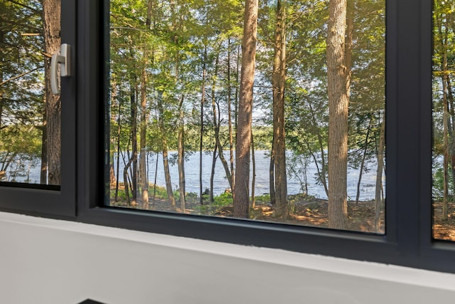 5 Zakelo Island Rd, Harrison, ME 04040 - detailed view of a water view
